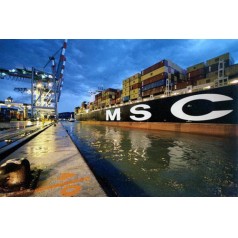 旭洲物流非洲海运合作伙伴——地中海航运MSC