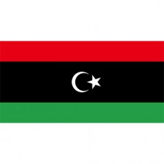 利比亚出口市场详细情况