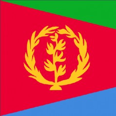如何率先占领厄立特里亚市场？