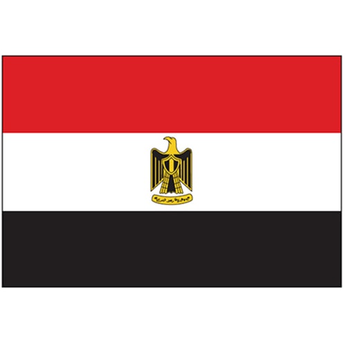 埃及出口市场详细情况