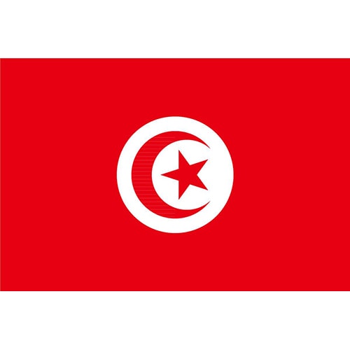 突尼斯出口市场详细情况