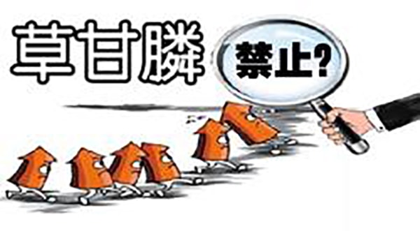 欧盟表决近年会对草甘膦的使用作出限制，并积极寻求草甘膦代替品，草甘膦出口面临尴尬局面。
