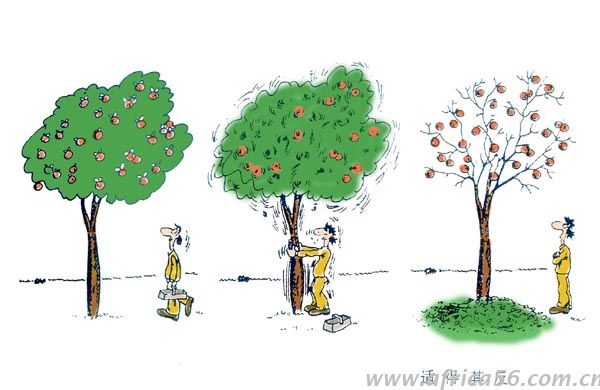尼日利亚限制部分商品进口，结果适得其反。