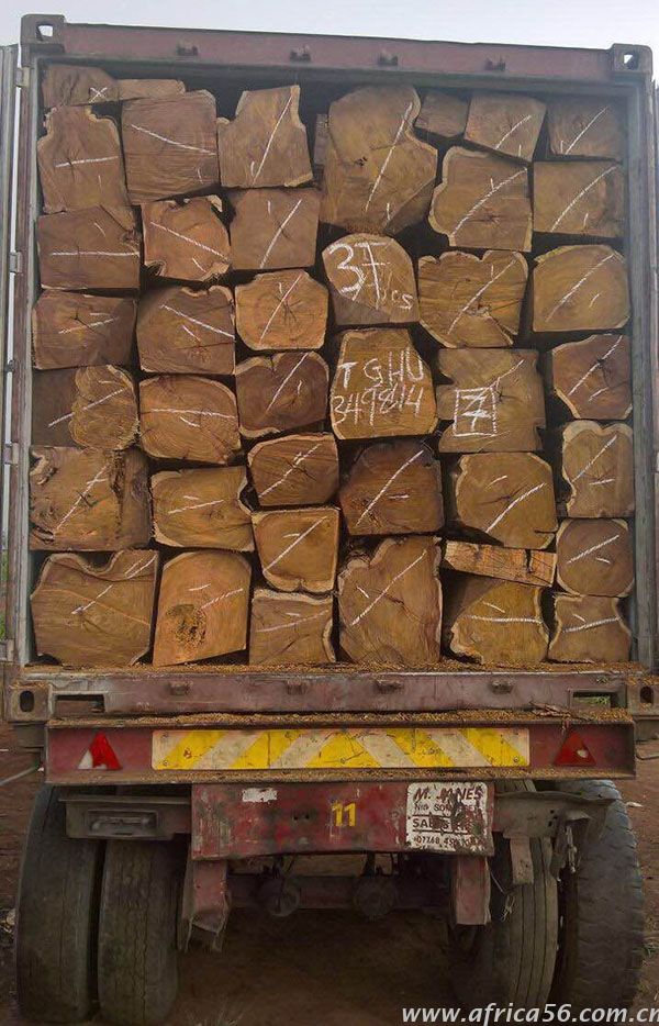 非洲原木进口案例_非洲海运_货运代理_旭洲物流