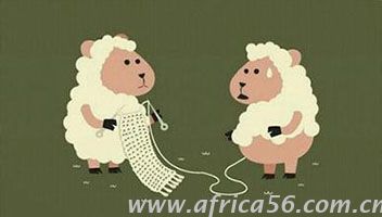 纺织原料——羊毛