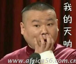 朴信惠成了拉线木偶？韩国政事果然比韩剧精彩！