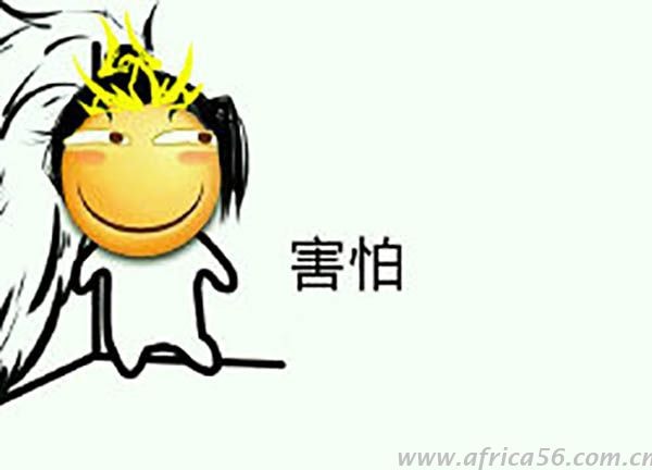 印度，你吓到中国霸霸了...... _旭洲物流