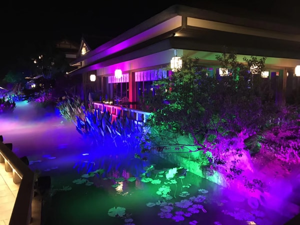 旭洲物流2018团体旅游_非洲海运_旭洲物流