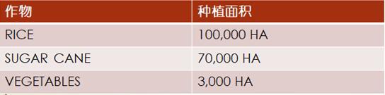 加勒比及中美洲农业市场分析_农化品出口_旭洲物流