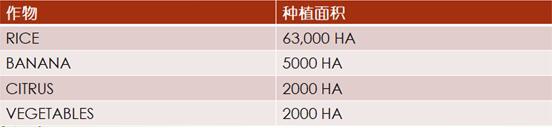 加勒比及中美洲农业市场分析_农化品出口_旭洲物流