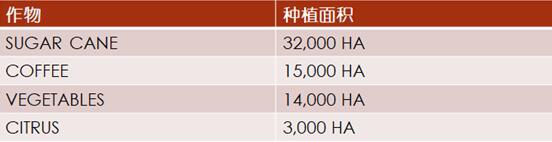 加勒比及中美洲农业市场分析_农化品出口_旭洲物流