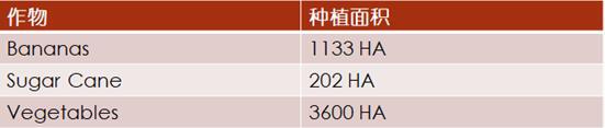 加勒比及中美洲农业市场分析_农化品出口_旭洲物流