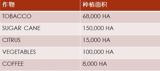 加勒比及中美洲农业市场分析_农化品出口_旭洲物流