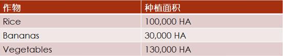 加勒比及中美洲农业市场分析_农化品出口_旭洲物流