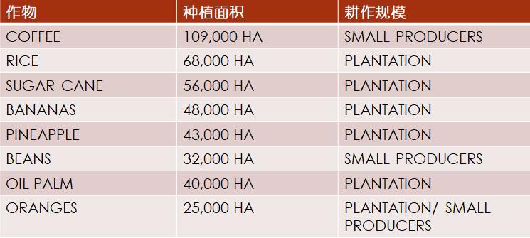 加勒比及中美洲农业市场分析_农化品出口_旭洲物流