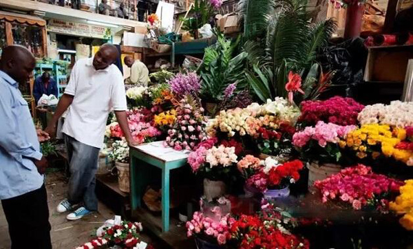 肯尼亚计划进一步减轻中小企业税负负担