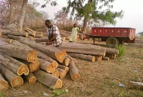 加纳家具市场_木制品市场_非洲海运_旭洲物流