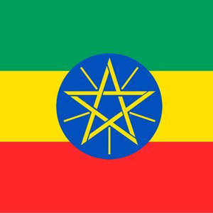 埃塞俄比亚关税